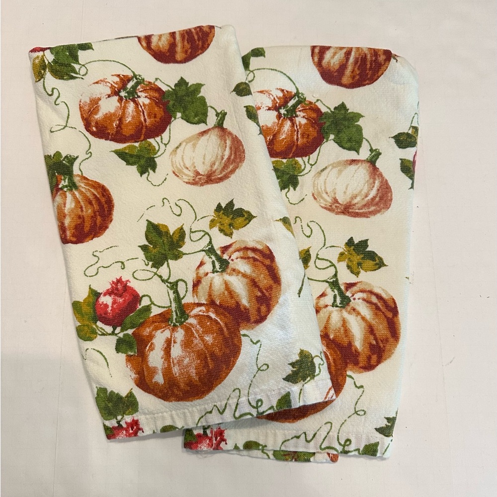 Shabby Chic Pumpkin Print Kitchen Towels Fall Harvest Thanksgiving set of 2